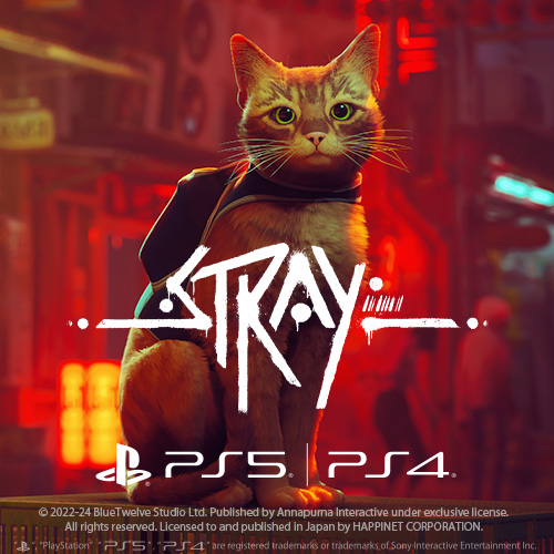 Stray